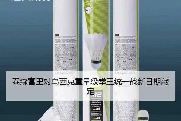 泰森富里对乌西克重量级拳王统一战新日期敲定