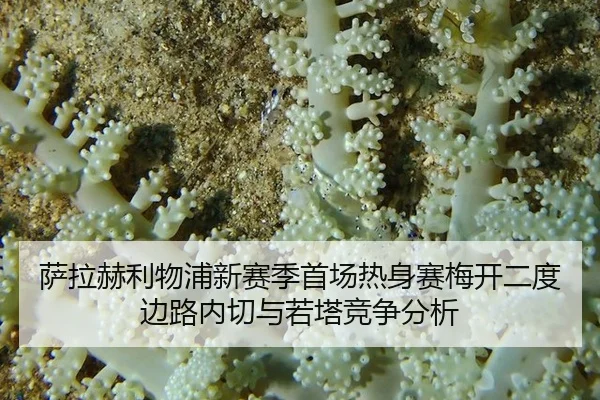萨拉赫利物浦新赛季首场热身赛梅开二度边路内切与若塔竞争分析