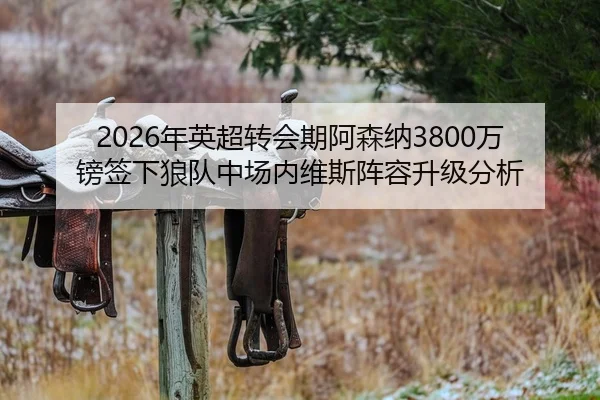 2026年英超转会期阿森纳3800万镑签下狼队中场内维斯阵容升级分析